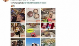 全网吃瓜爆料最新消息,最新吃瓜爆料，揭秘娱乐圈惊天秘密！